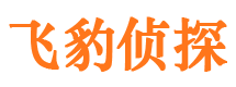 青川寻人公司